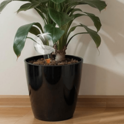Arrosage Goutte a Goutte BullO dans un pot noir pour plante verte