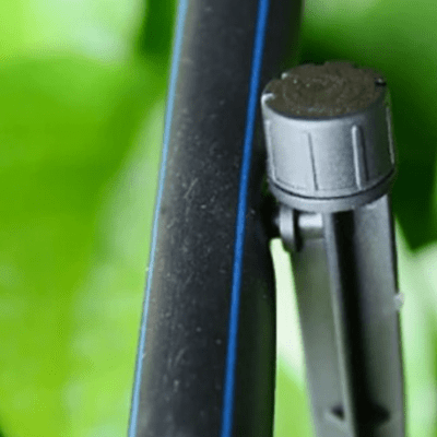 installation finalisée de l'Arrosage automatique Goutteur reglable