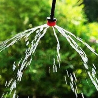 Arroseur automatique Goutty avec fond de verdure extérieure