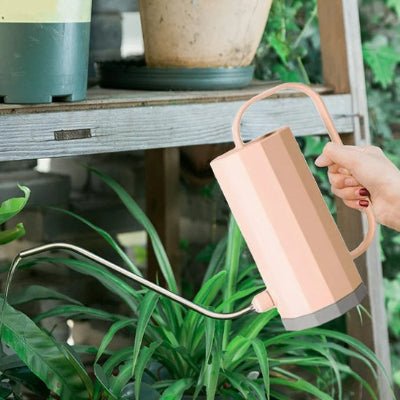 Arrosoir d'intérieur GREENFLOW rose