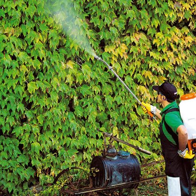 Pulvérisation professionnelle de vignes sauvages avec le Pulvérisateur Professionnel Réglable FlowMaster