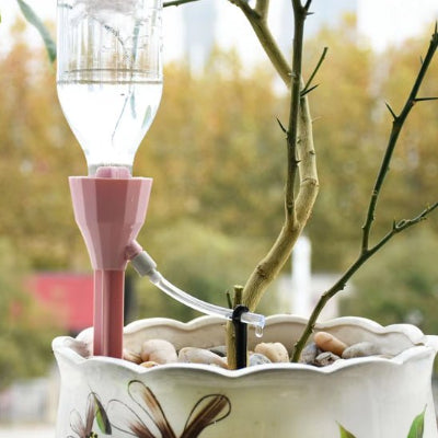 Arrosage automatique RegloGoutte  rose en action dans une plante extérieure