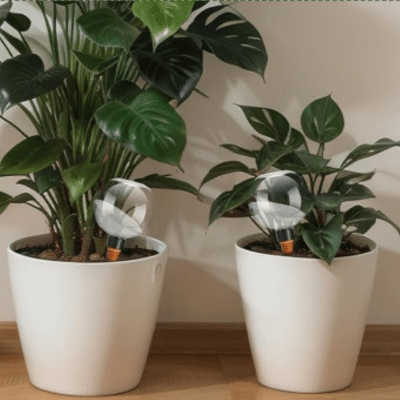 Arrosage Goutte a Goutte BullO avec petites et grandes plantes
