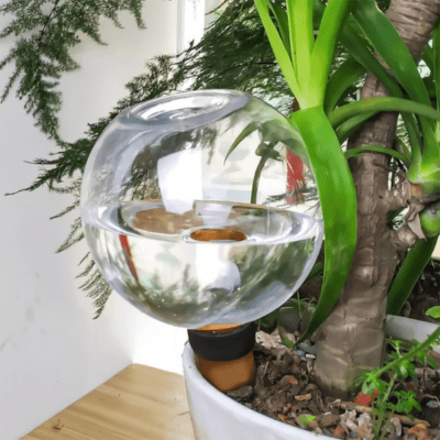 Arrosage Goutte a Goutte BullO dans une plante intérieure