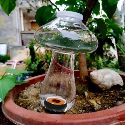 Arrosage goutte à goutte Translu - Champi dans un pot terracotta