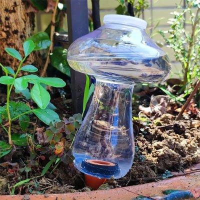 Arrosage goutte à goutte Translu - Champi utilisée pour arroser une plante en pot