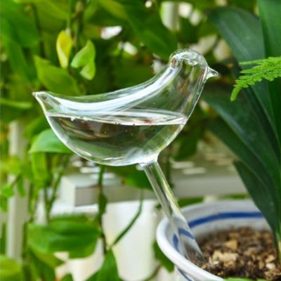 Arrosage Gouttes a gouttes OisillEAU dans une plante verte
