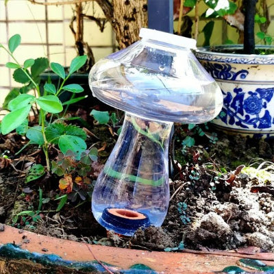 Arrosage gouttes à gouttes Translu-Champi-unité en action plante en pot