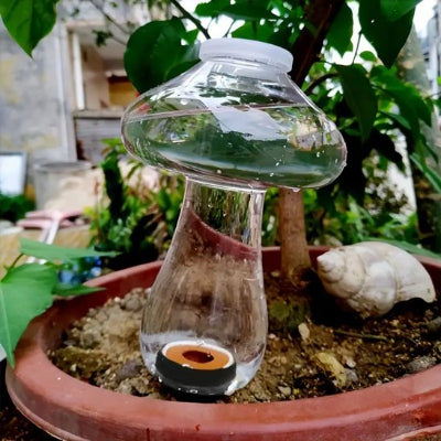 arrosage gouttes à gouttes Translu-Champi-unité remplit d'eau 