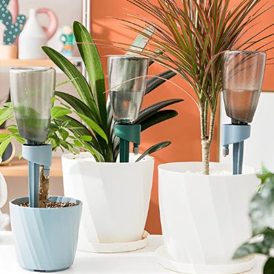 Arrosage par goutte a goutte aavec tout type de plante