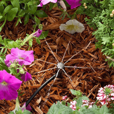 Arrosage automatique Goutteur reglable arrosant des pétunias rose et blanc