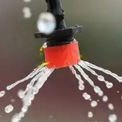 eau ruisselante de l'Arroseur automatique Goutty