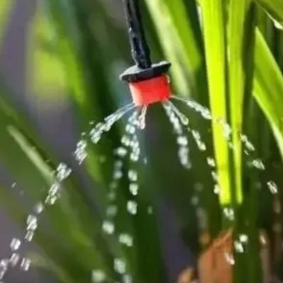 Arroseur automatique Goutty en action dans une plante araignée