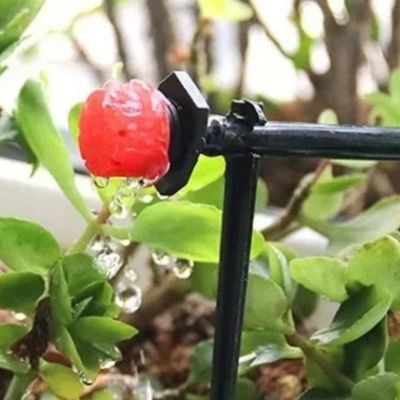 Réglage fin de l'Arroseur automatique Goutty