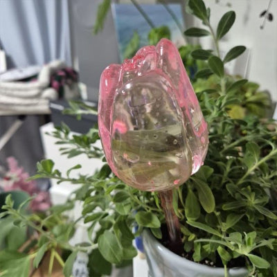 L'Arroseur Élégance rose dans une plante verte