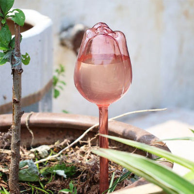 L'arroseur Élégance rose translucide permet de bien voir l'eau