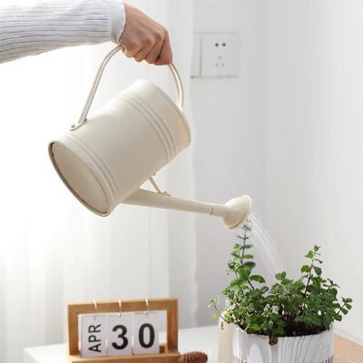 Arrosoir d'intérieur 2L Douceur Vintage  couleur créme pour plantes intérieures
