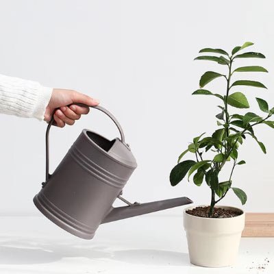 Arrosoir d'intérieur 2L Douceur Vintage gris 