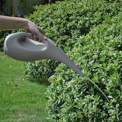 Arrosage de plante vertes extérieur avec l'Arrosoir jardin bec long ErgoDesing 