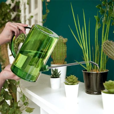 Arrosoir translucide 1L Vintage Garden  avec sa longue buse pour un arrosage de précision