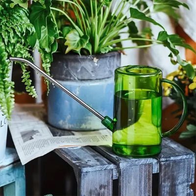Arrosoir translucide 1L Vintage Garden   en décoration avec plantes intérieures