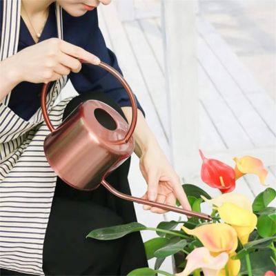 ARROSOIR VINTAGE EN METAL | HERITAGE - Katherine jardine