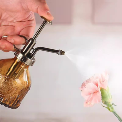 Brumisation délicate du Brumisateur Plante Verre Dark Vintage 