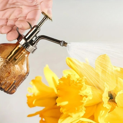 Bumisation douce avec le Brumisateur Plante Verre Dark Vintage 