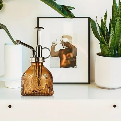 Le Brumisateur Plante Verre Dark Vintage grandement décoratif