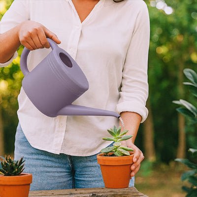 FEmme utilisant le Litre arrosoir Aqua - Nordique 1L  lavandes pour ses succulentes