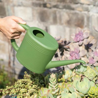Litre arrosoir Aqua-Nordique 1L vert arrosant des succulentes