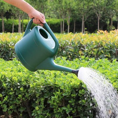 Litre arrosoir JardinDO en action d'arrosage d'une haie