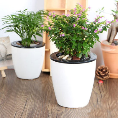 Pot de fleur Deco-Durable-S joli et durable 