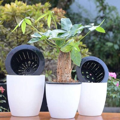 Pots de fleurs | Deco - Durable™ - Katherine Jardine