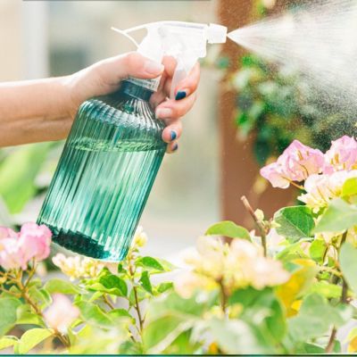 Pulvérisateur à main Romatico Spray pulvérisant un jardin fleuri
