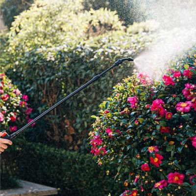 Perche téléscopique du Pulvérisateur Jardin Électrique 8L MaxJardin en action