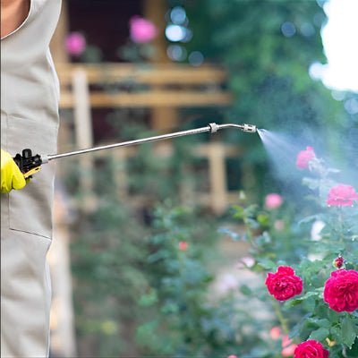 Traitement des rosiers au jardin avec le Pulvérisateur Professionnel JetPro 30 cm 