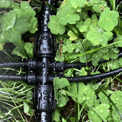 Raccord tuyau arrosage TriFlo 4-7mm quadruple dans les oxalis