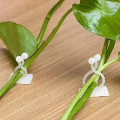 2 formats du Support plante grimpante Natura - Grimp blanc