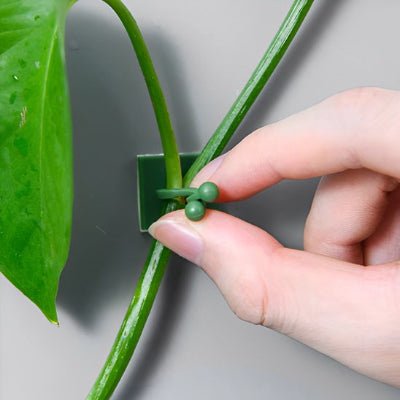 Installation du Support plante grimpante Natura - Grimp vert sur unr gris pâle