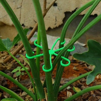 Support plante intérieur Botanic Elegance utile dans les plate bandes également