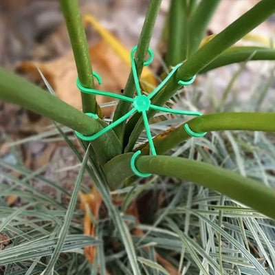 Support plante intérieur Botanic Elegance  supporte jusqu'à 6 tiges à la fois