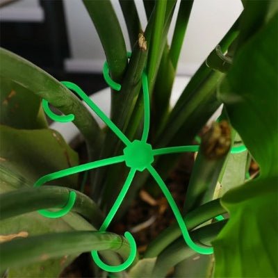 Support plante intérieur Botanic Elegance vert souple