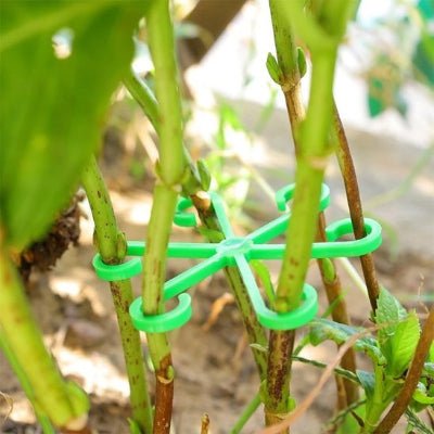 Support plante intérieur Botanic Elegance  vert