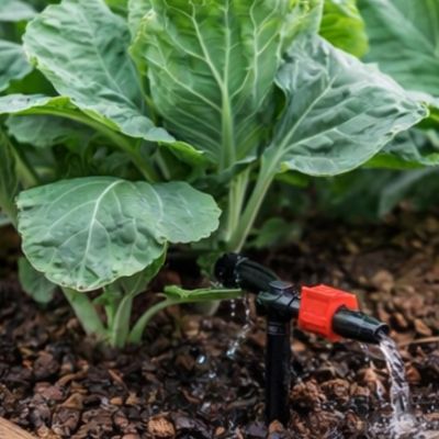 : Irrigation goutte-à-goutte au pied de légumes crucifères avec tuyau 4/7 mm